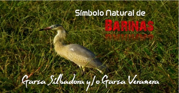 simbolos naturales de todos los estados consejo legislativo del estado barinas noticias simbolos naturales de todos los estados consejo legislativo del estado barinas noticias